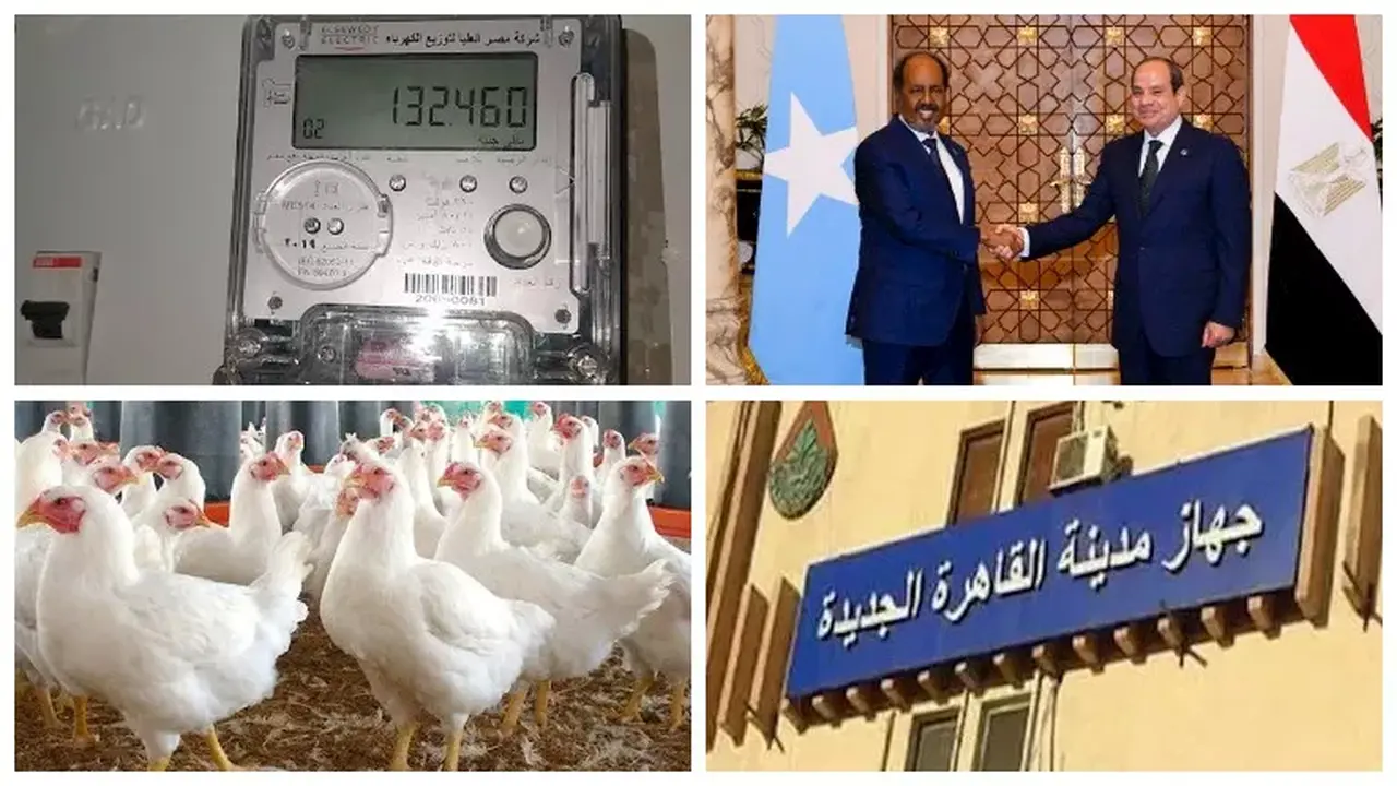 السيادة الصومالية.. السيسي يعلن رفض مصر القاطع لمحاولات التقسيم وقرارات عاجلة لوزارة الزراعة